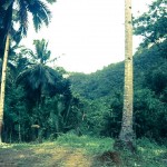 Mount Lantoy Ghost Stories