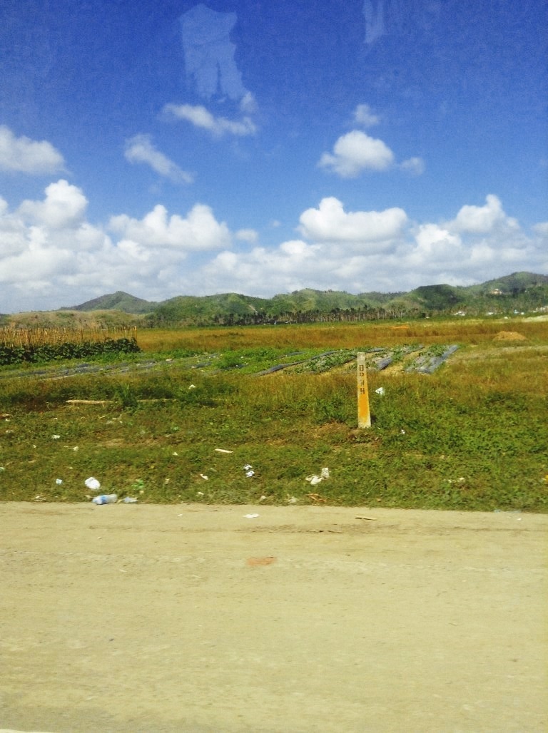 garden plots in palo leyte after typhoon yolanda