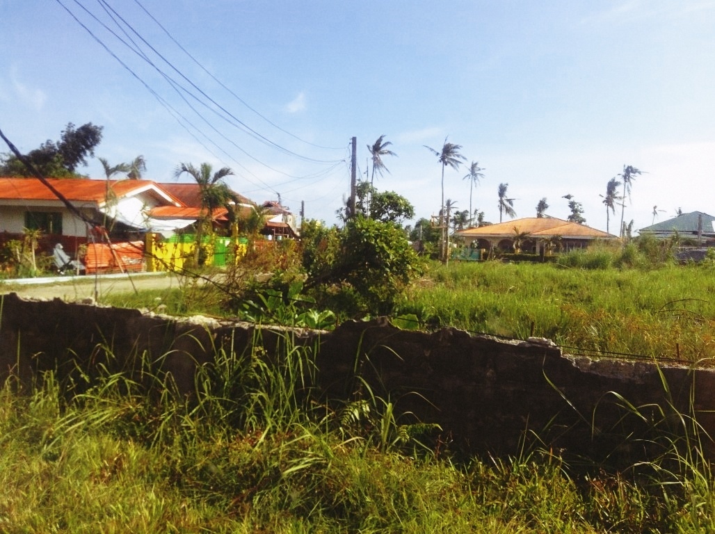 Zara Compound VandG Subdivision in Tacloban City after typhoon yolanda