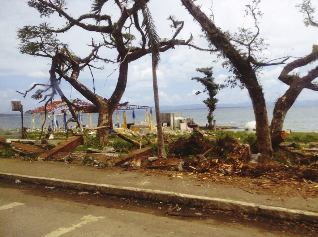 lions den in tacloban city yolanda damage